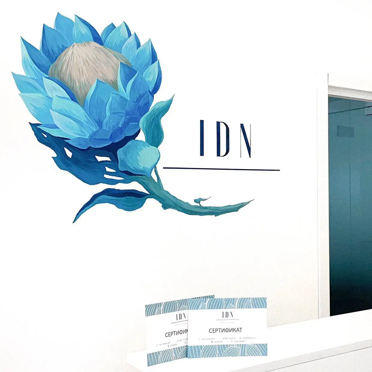 IDN Skin & Hair Clinic branding — the reception wall with the IDN logo and gift certificates.